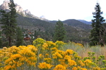 photo thumbnail #11