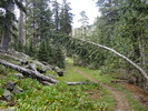 photo thumbnail #10