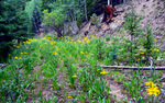photo thumbnail #6