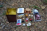 photo thumbnail #12