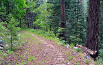 photo thumbnail #9