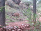 photo thumbnail #11