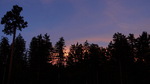 photo thumbnail #15