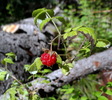 photo thumbnail #8