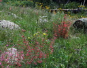 photo thumbnail #10
