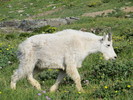 photo thumbnail #5