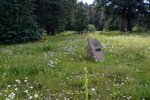 photo thumbnail #10