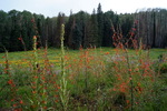photo thumbnail #12