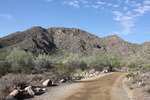 photo thumbnail #1