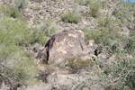 photo thumbnail #2