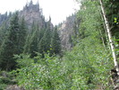 photo thumbnail #15