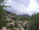 photo thumbnail #3