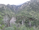 photo thumbnail #10