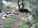 photo thumbnail #11