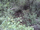 photo thumbnail #14