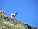 photo thumbnail #11