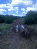 photo thumbnail #1