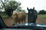 photo thumbnail #8