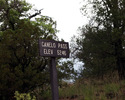 photo thumbnail #12