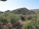 photo thumbnail #10