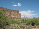 recent photo