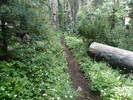 photo thumbnail #5