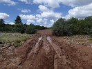 photo thumbnail #1