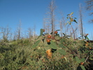photo thumbnail #3