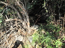 Featured Detail Photo