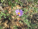 photo thumbnail #14