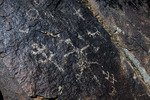 photo thumbnail #13