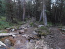 photo thumbnail #1