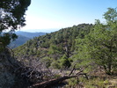 photo thumbnail #3