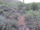 photo thumbnail #1