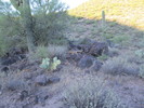 photo thumbnail #5