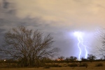 photo thumbnail #11