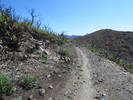 photo thumbnail #4