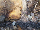 photo thumbnail #8