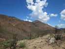 photo thumbnail #12