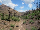 photo thumbnail #13