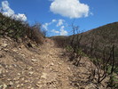 photo thumbnail #15