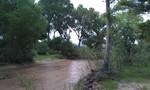 photo thumbnail #2