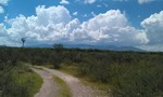 photo thumbnail #4