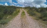 photo thumbnail #5