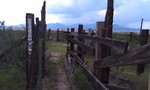 photo thumbnail #6