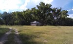 photo thumbnail #7