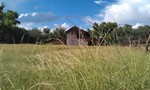 photo thumbnail #8