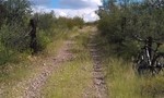 photo thumbnail #10