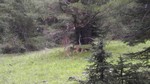 photo thumbnail #13
