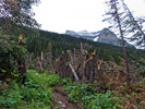 photo thumbnail #9